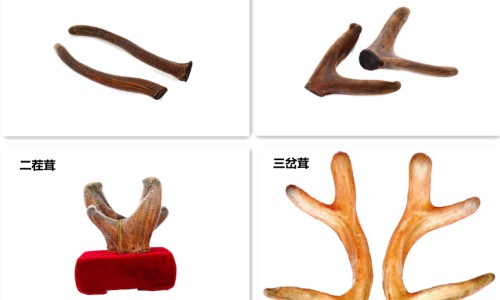 咽炎会引起晚上出汗吗-咽炎会引起晚上出汗吗、慢性咽炎会盗汗吗 -咽炎会不会半夜出汗网